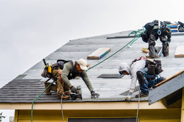 Professional Roof Replacement technician working in Avon, NY